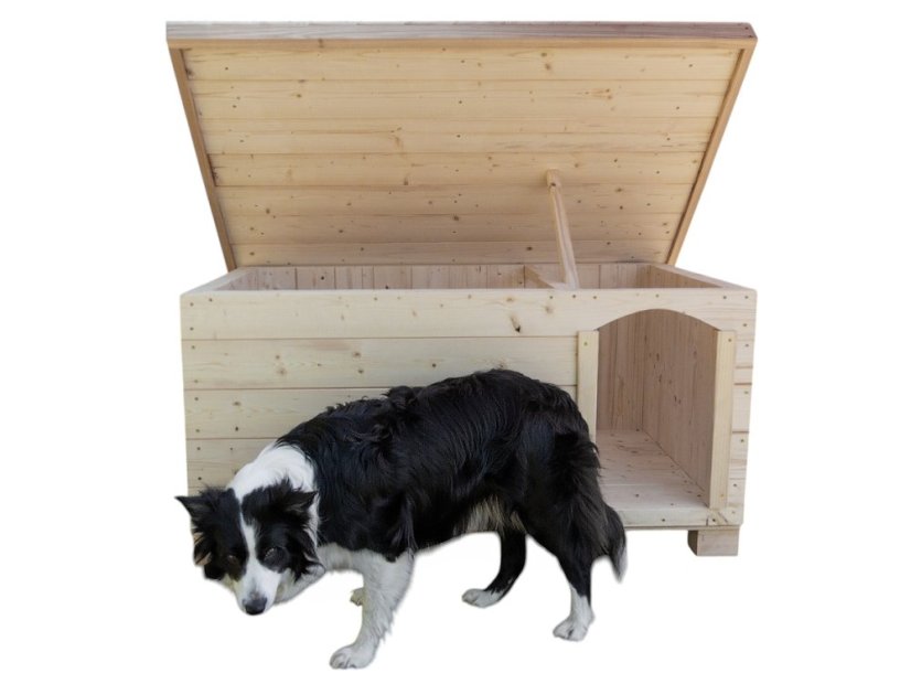 Zateplená psí bouda - border kolie